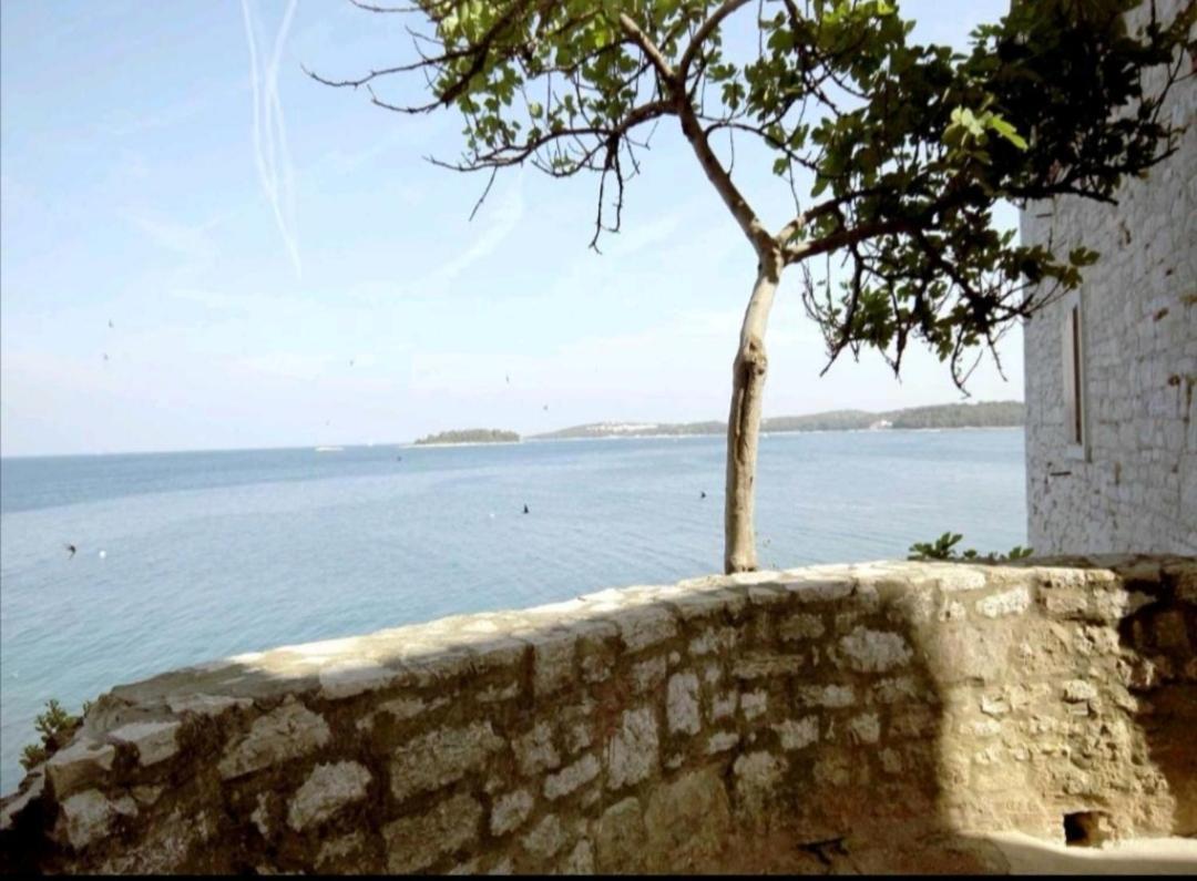 Apartment Giulio - 10Mt To The Beach Rovinj Exterior photo