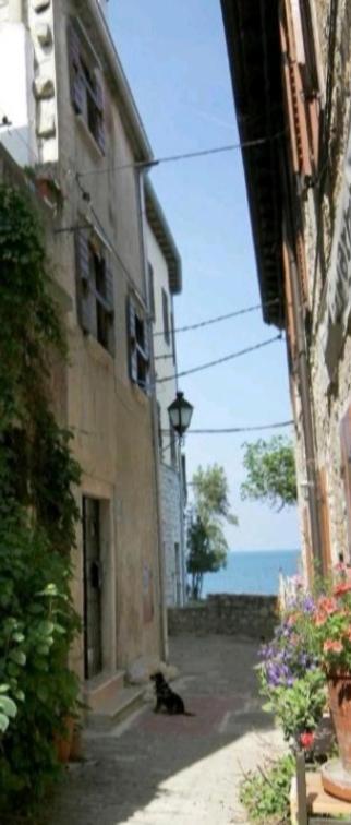Apartment Giulio - 10Mt To The Beach Rovinj Exterior photo